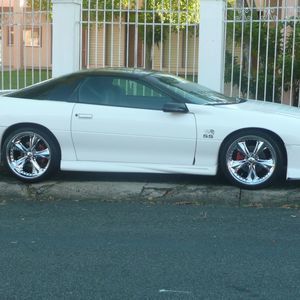 Meet your Posher, Pedro